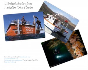 CSS3 test site screenshot - version 1. CSS3 test site screenshot - version 1.